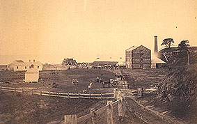 Portarlington Mill