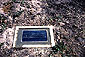 Newington Cemetery