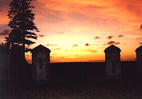 Sunrise at the Old Cemetery